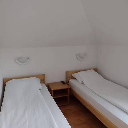 Pensiune Zlatni San 4*