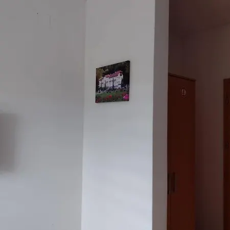 Pensiune Zlatni San 4*