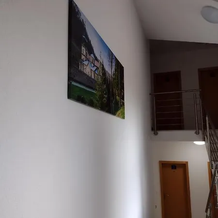 Pensiune Zlatni San Banja Koviljača