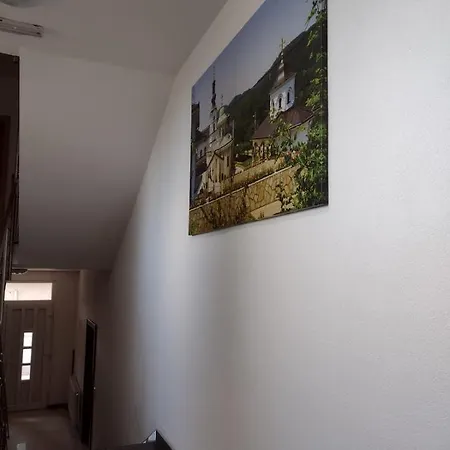 Pensiune Zlatni San Banja Koviljača