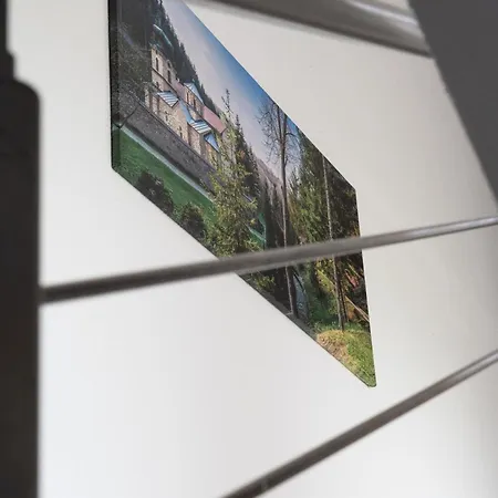 Pensiune Zlatni San Banja Koviljača